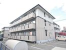 グレイス・イナミツ B棟の間取り画像