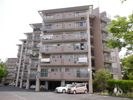 紅梅台ハイツ1号棟 701号室の間取り画像