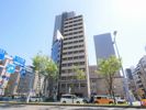 パウゼ東天満の間取り画像