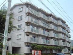 シャトレ沼本町の外観画像