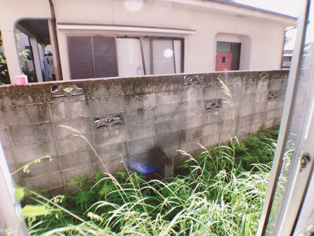 庭