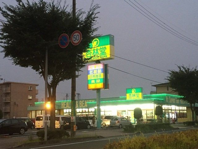 杏林堂ドラッグストア向宿店まで800m