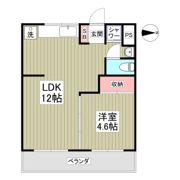 六高ハイツの間取り画像
