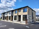 キャノーラの外観