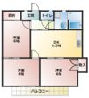 シャトレーKの間取り画像
