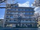 エストゥルース府中の間取り画像