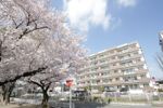T-one MIYAHARA West Bの間取り画像