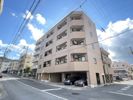 ピア本町の間取り画像