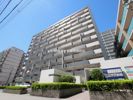 ア・ミュゼ新大阪の間取り画像