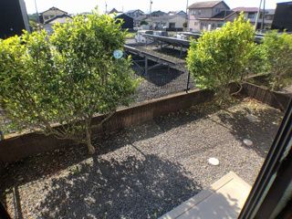庭