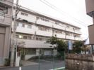 シュテルン和光の間取り画像
