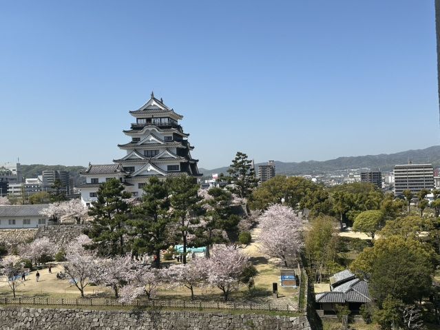 眺望