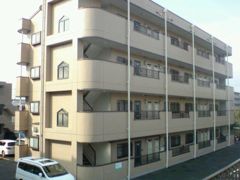 アベニュー壱番館の間取り画像