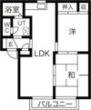 アーバンハイツ御幸山A棟の間取り画像