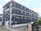 グランテラス柏木の間取り画像