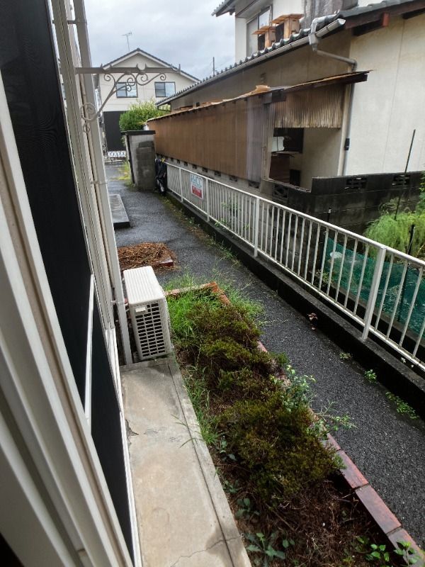 庭