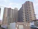 サーパス中須賀の間取り画像