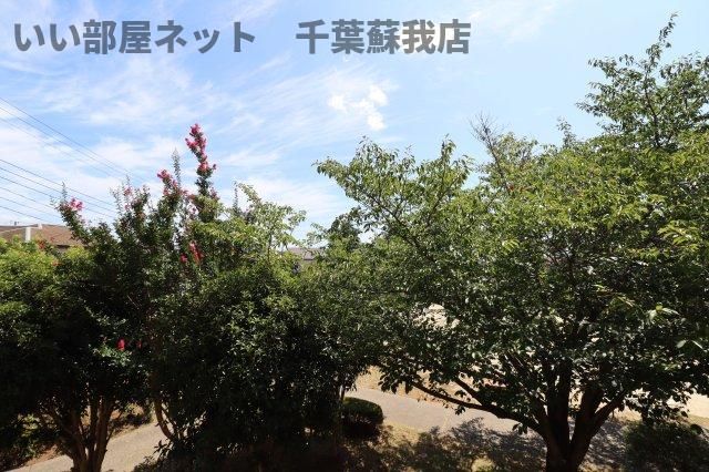 眺望