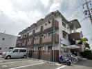 メゾン椿の間取り画像