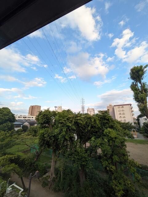 眺望