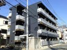 レオパレスフリージアの間取り画像