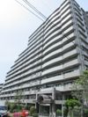 （仮称）南与野マンションの間取り画像