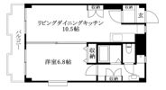 ビッグバン和光2の間取り画像