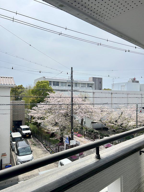 眺望