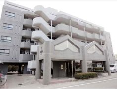 ナイスアーバン井野の外観画像