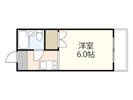 メゾンムシカの間取り画像