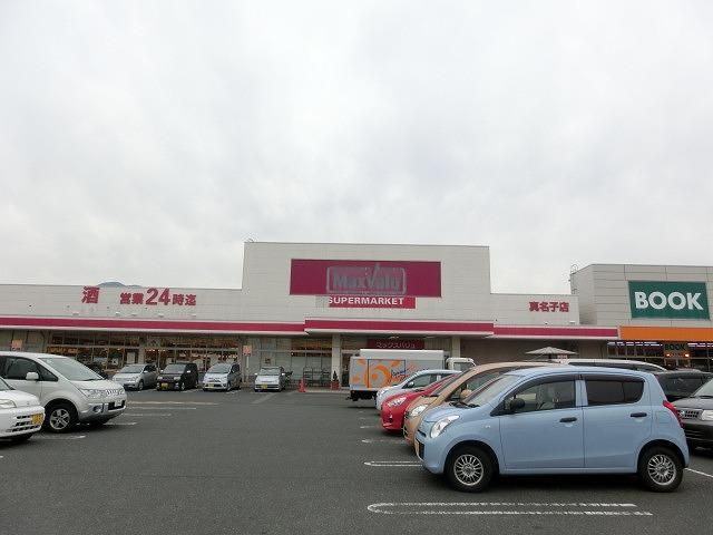 マックスバリュ真名子店 (415m)