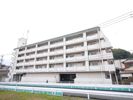 ビブレ折尾 501号室の間取り画像