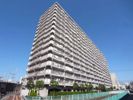 千葉サニータウン マンション棟の間取り画像
