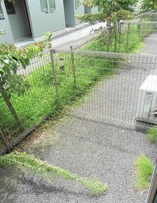 庭