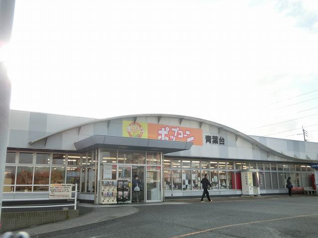 ポップコーン青葉台店 (197m)