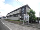 カトレアの外観