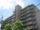 ミストラル岸部南の間取り画像