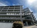 PHOENIX COURT 交野Ⅰの間取り画像