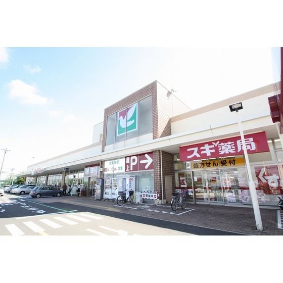 ドラッグストア 「スギ薬局南毛利店まで541m」