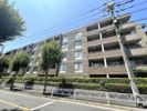 パルテール深沢の間取り画像