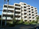 リビオ武蔵野中町の間取り画像