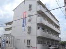 メゾンド井上の間取り画像