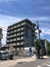 ウェークフォレストブロンドの外観