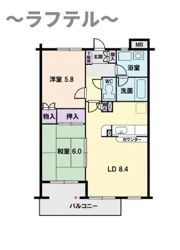 タートルクレインふじみ野の間取り画像