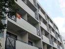 ジョイフル池上の間取り画像
