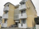 パールマンション月出の間取り画像
