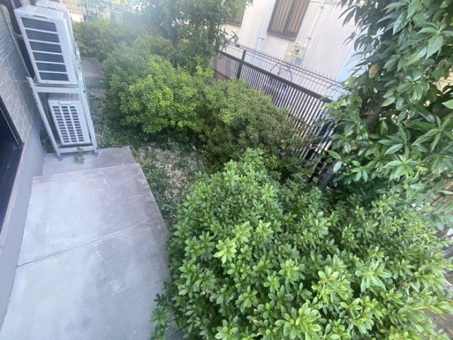 庭