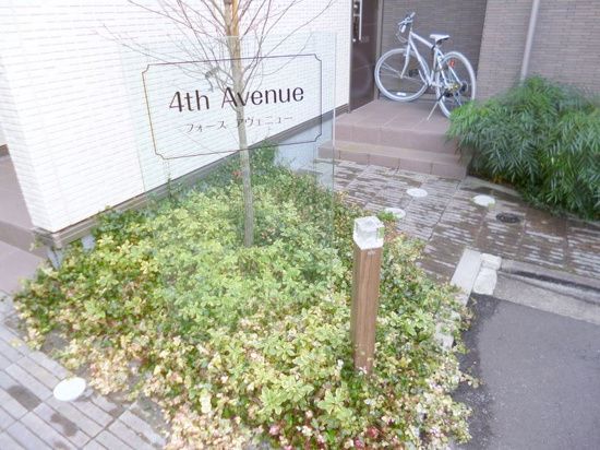 庭