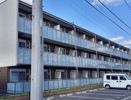 ミランダフェリーチェの間取り画像