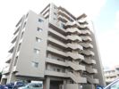 サーパス原尾島けやき通りの間取り画像